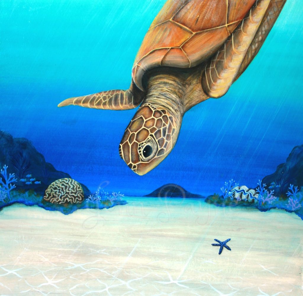 "Turtle Reef" Fine Art Print
